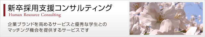 新卒採用支援コンサルティング