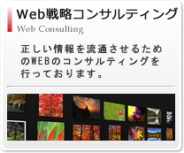 WEB戦略コンサルティング